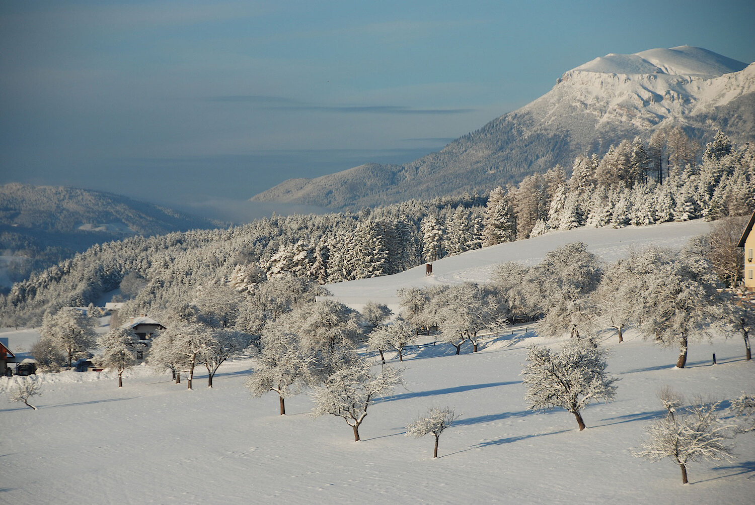 Foto Winterlandschaft mit Bergen 