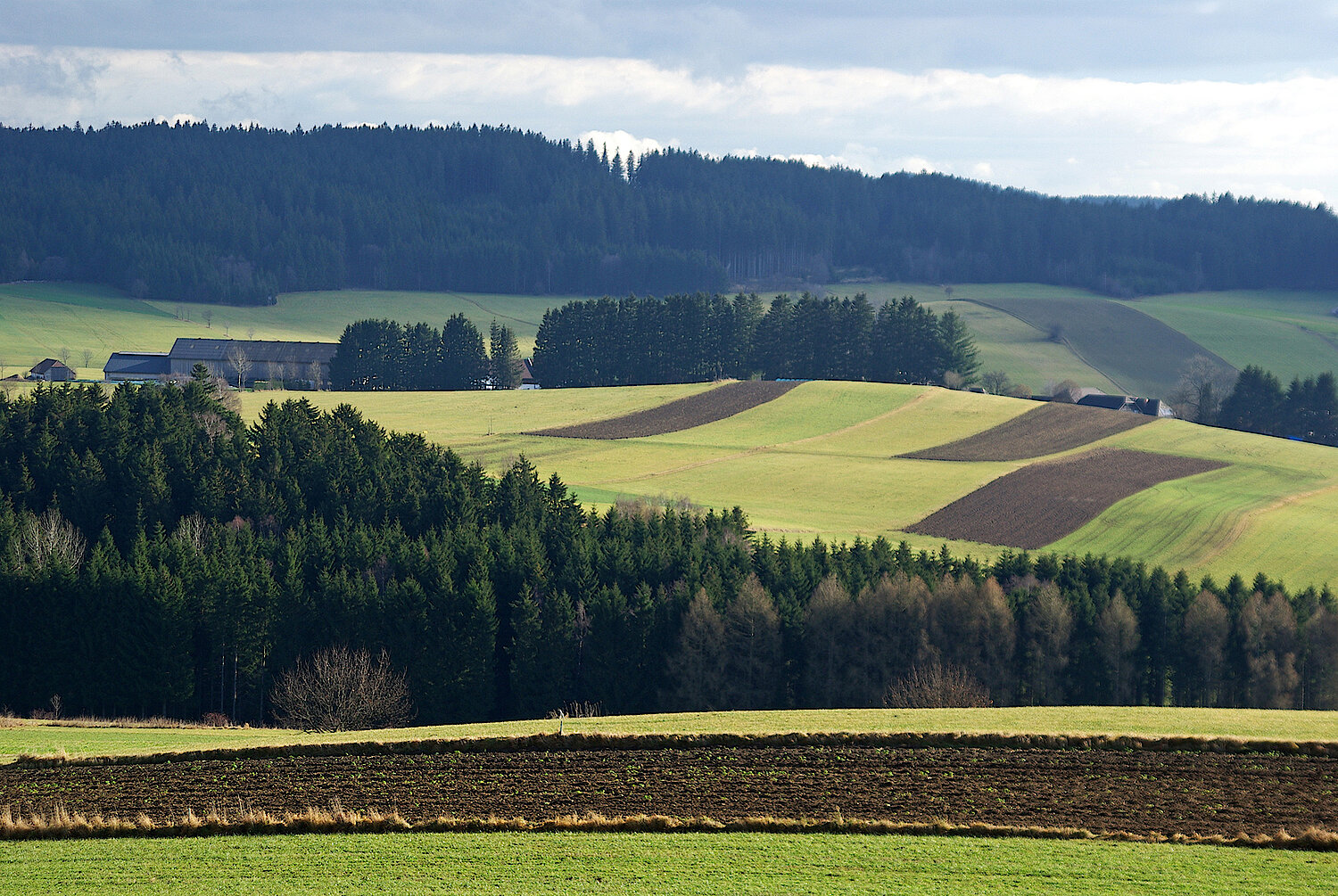 Foto Kulturlandschaft