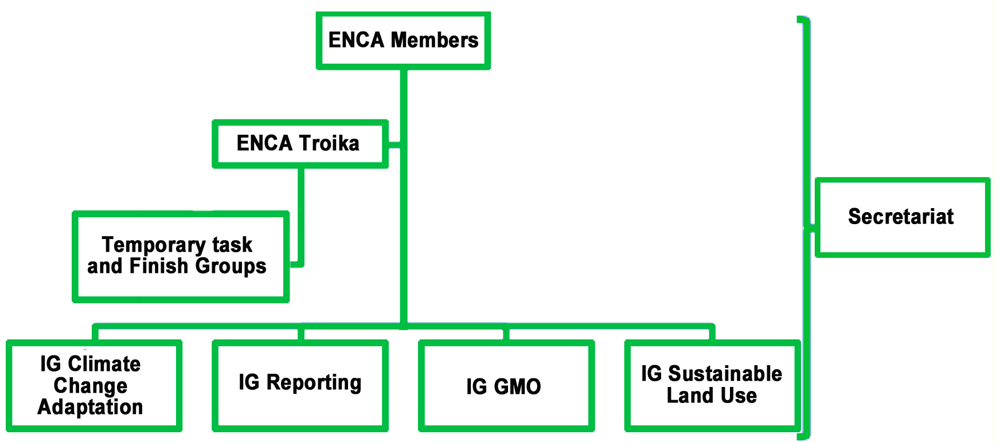 Structure plan of the Network